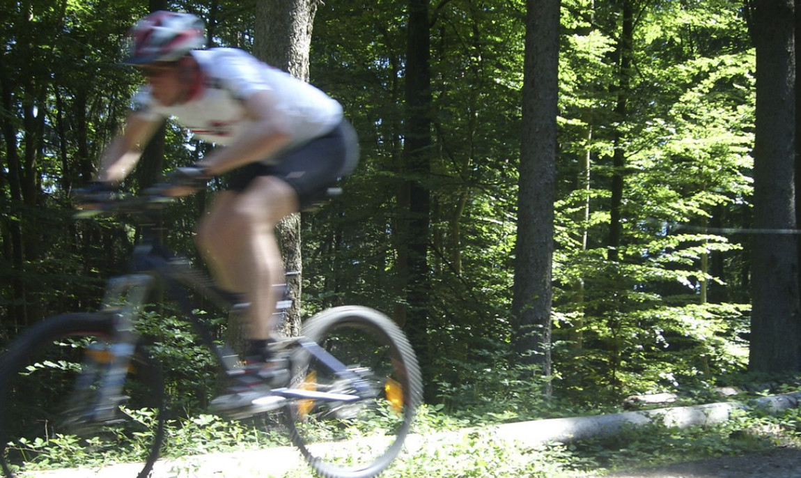 assets/images/activities/personal-trainer-fuer-mountainbike-in-elmstein-rheinland-pfalz/1280_0007_097-1150x686x90.jpg